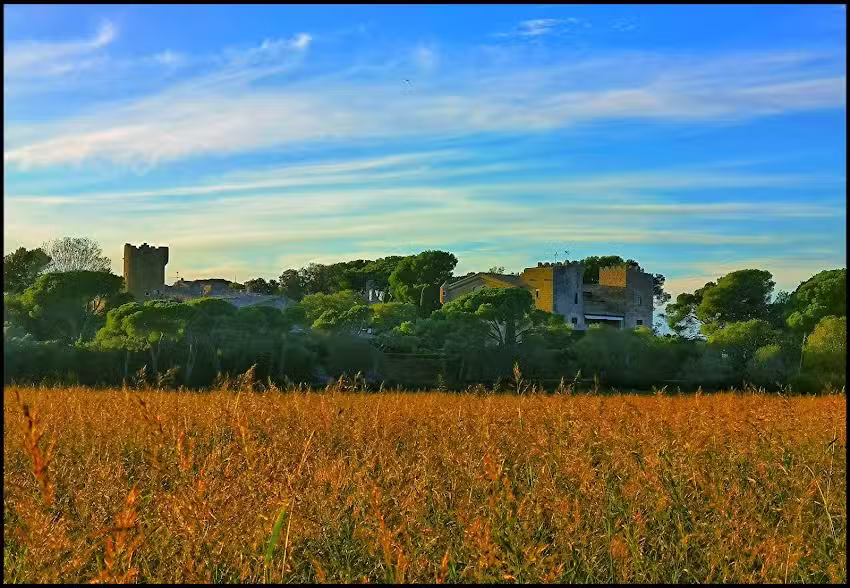 Ermita de Santa Margarida