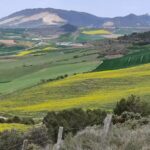 Ermita de Santo Domingo