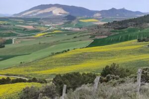 Ermita de Santo Domingo