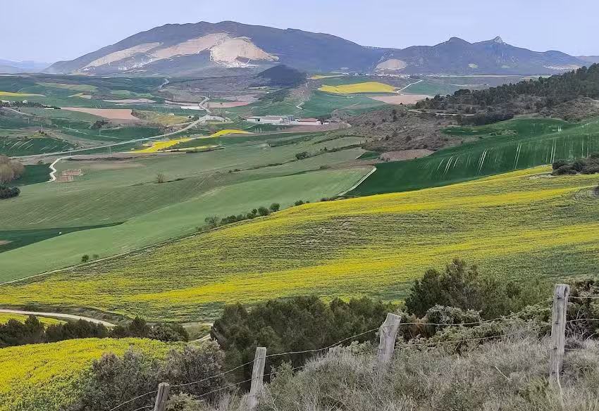 Ermita de Santo Domingo