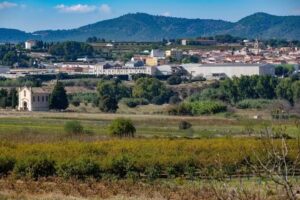 Ermita del Cristo de la Agon&iacute;a