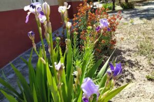 Ermita del Santo Ni&ntilde;o del Remedio