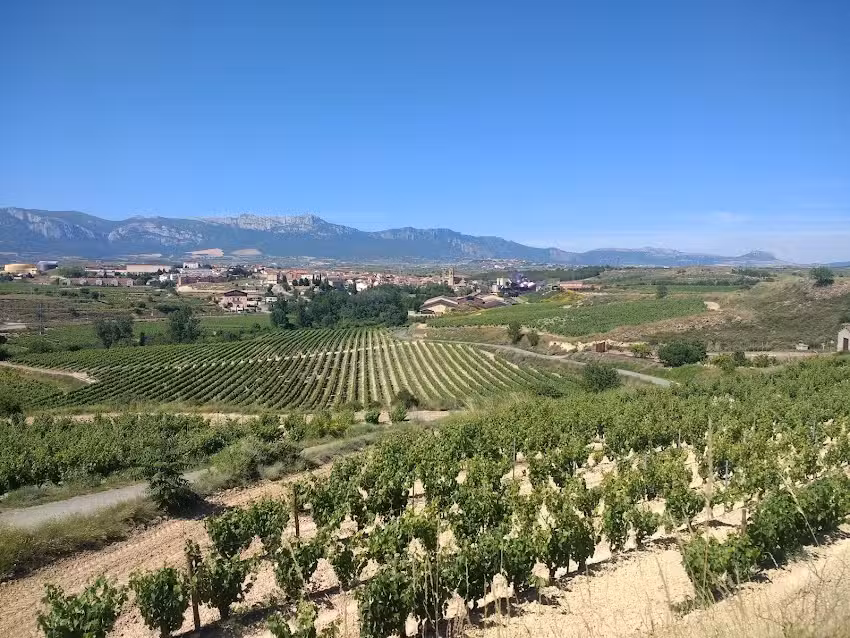 Ermita San Vicente