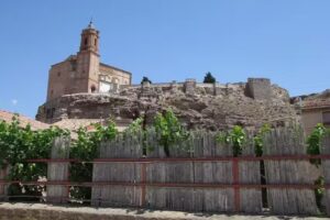 Franciscanas Misioneras de Mar&iacute;a