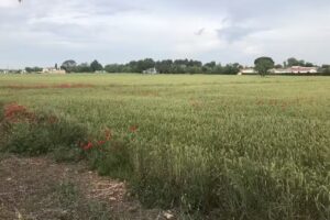 Huerta Carmela. Casa de retiros espirituales.