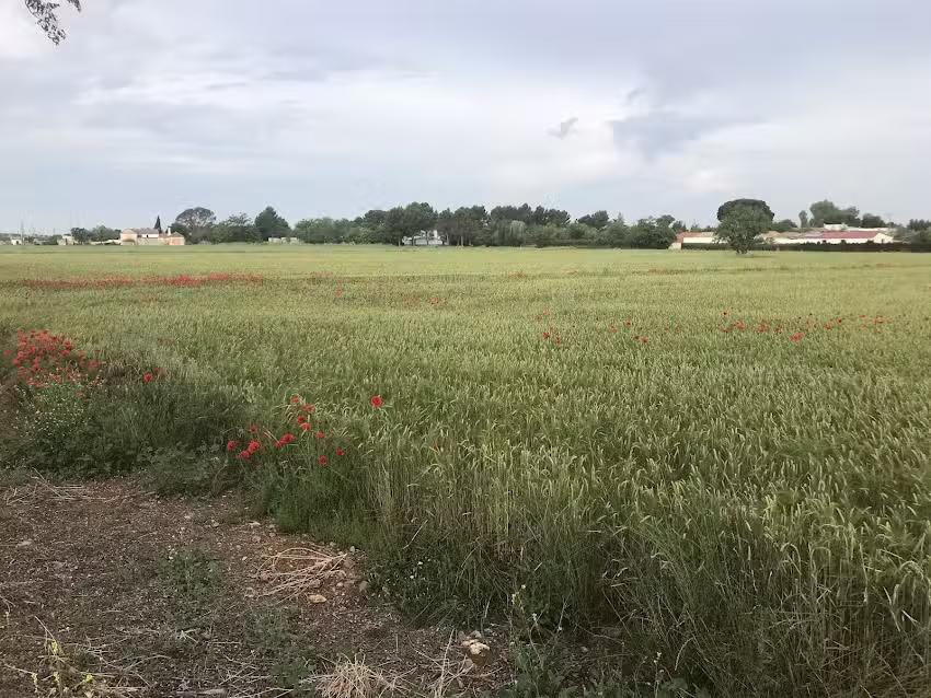 Huerta Carmela. Casa de retiros espirituales.