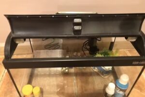 Iglesia Cristiana Evang&eacute;lica de Ciudad Real