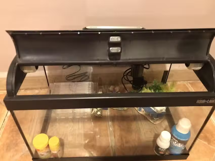 Iglesia Cristiana Evang&eacute;lica de Ciudad Real