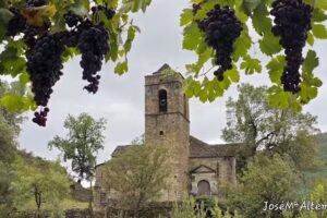 Iglesia de la Asunci&oacute;n