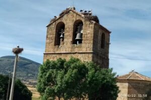IGLESIA DE &laquo;LA ASUNCI&Oacute;N DE NUESTRA SE&Ntilde;ORA&raquo;