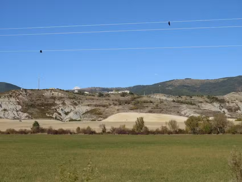 Iglesia de la Asunci&oacute;n (s XII XVII)