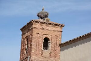 Iglesia de la Pur&iacute;sima Concepci&oacute;n
