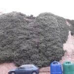 Iglesia de la Trinidad