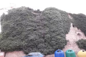 Iglesia de la Trinidad