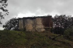 Iglesia de los Santos Cipriano y Cornelio, Parroquia de San Cipriano