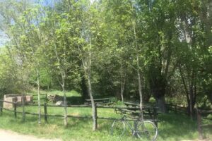 Iglesia de Murias de Ponjos
