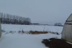 Iglesia de Nuestra Señora de la Asunción