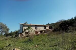 iglesia de Nuestra Se&ntilde;ora de la Asunci&oacute;n