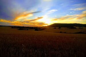 Iglesia de Nuestra Se&ntilde;ora de la Asunci&oacute;n