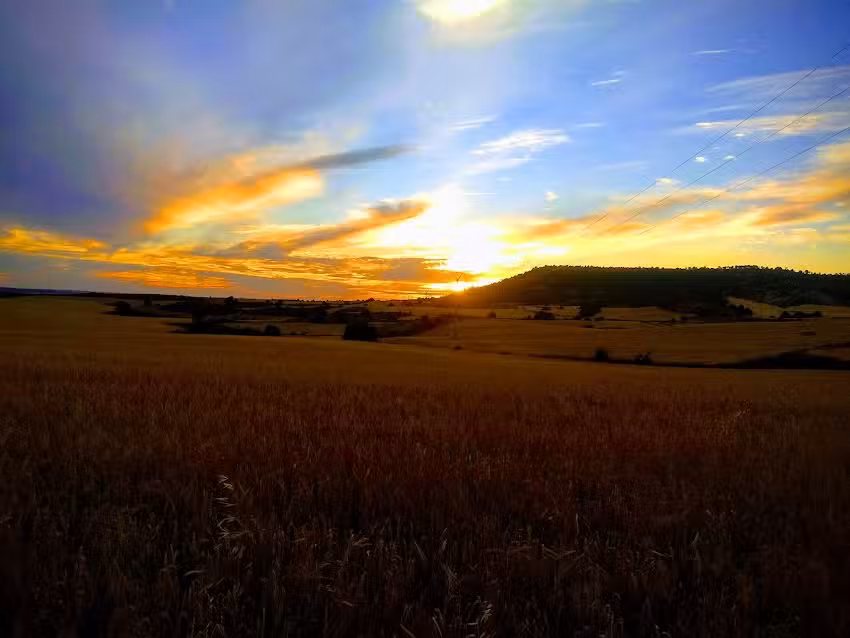 Iglesia de Nuestra Se&ntilde;ora de la Asunci&oacute;n