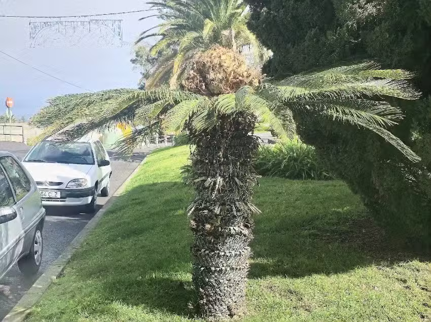 Iglesia de San Antonio Mar&iacute;a Claret