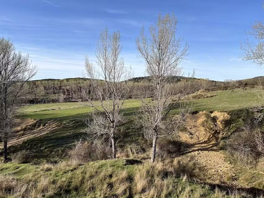Iglesia de San Cosme y San Dami&aacute;n