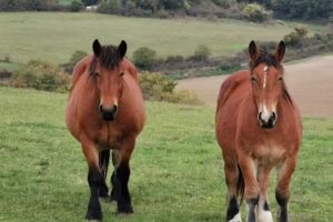 Iglesia de San Crist&oacute;bal