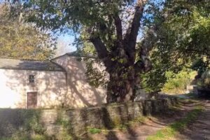 Iglesia de San Juan de Az&uacute;mara