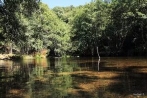 Iglesia de San Juan de Barxa