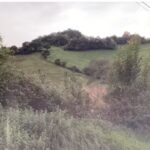 Iglesia de San Mart&iacute;n de Pereda