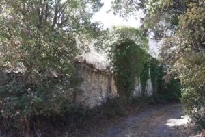 Iglesia de San Mart&iacute;n. Ruinas