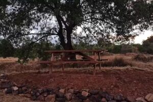 Iglesia de San Miguel Arc&aacute;ngel