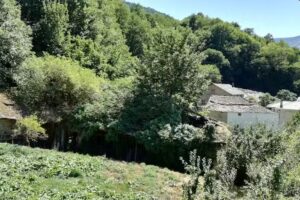 Iglesia de San Pedro