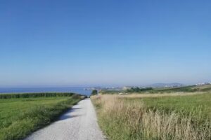 Iglesia de San Pedro