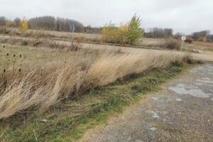 Iglesia de San Pedro