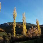 Iglesia de san Pedro Apostol