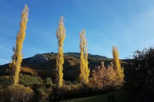 Iglesia de san Pedro Apostol