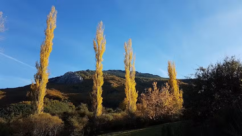 Iglesia de san Pedro Apostol
