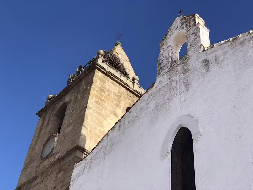 Iglesia de San Pedro Ap&oacute;stol