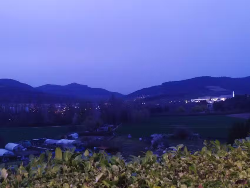 Iglesia de San Pedro de Olaz