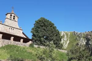 Iglesia de SAN PELAYO