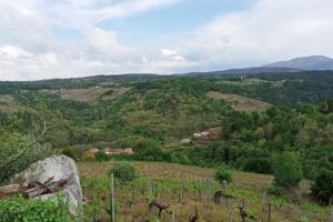 Iglesia de San Romao de Acedre