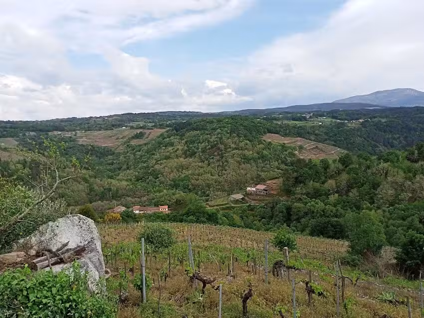 Iglesia de San Romao de Acedre