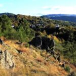 Iglesia de San Vicente de Paradela