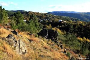 Iglesia de San Vicente de Paradela