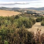 Iglesia de Santa Catalina