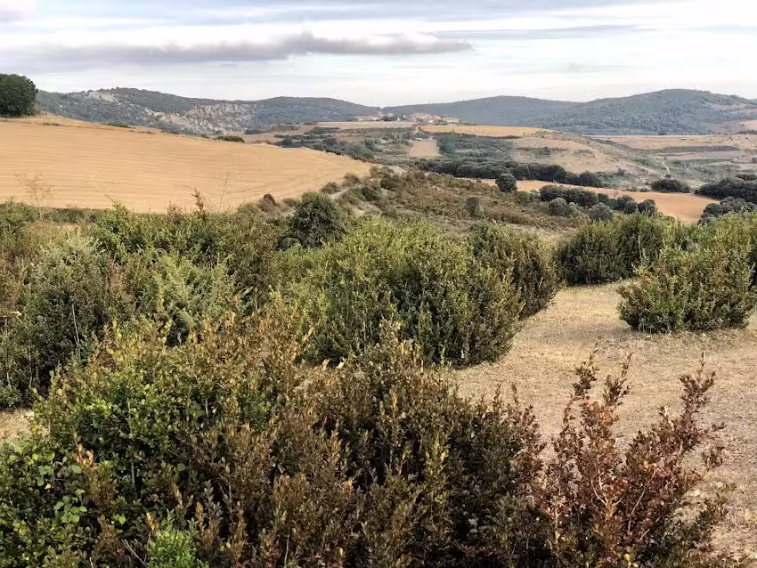 Iglesia de Santa Catalina