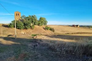 Iglesia de Santa Eulalia