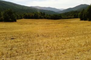 Iglesia de Santa Mar&iacute;a