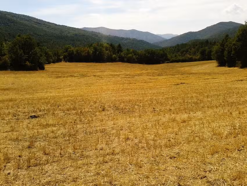 Iglesia de Santa Mar&iacute;a